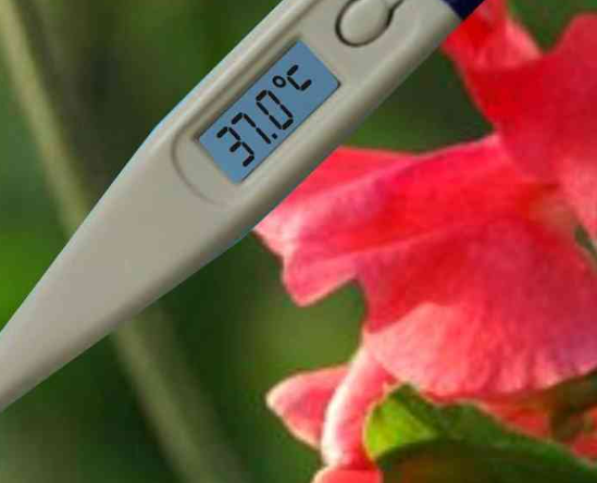 怀孕后体温会增加