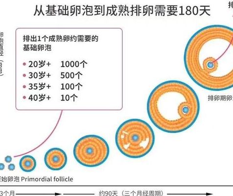 试管中心跑了一年才敢说，这几条经验能帮一个是一个