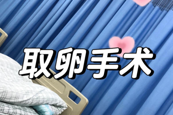 取卵手术是试管治疗周期重要一环