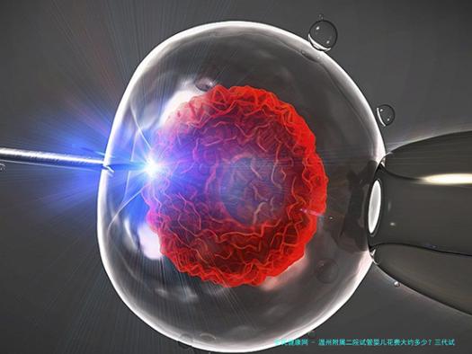试管婴儿移植后症状与对策:2026全面进医保时代,移植期安稳度过全解析