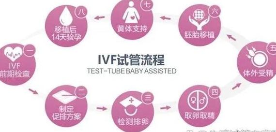 做试管婴儿的全部流程要几个月左右？我花了5个月，每一步都像闯关