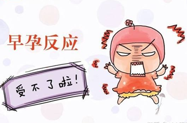 怀孕反应期一般是多久消失结束?