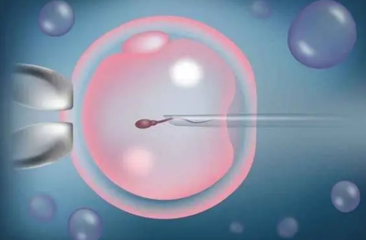 三代试管可以避免出现胎停的几率