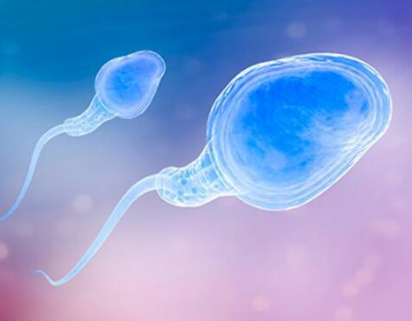 精子活力影响胚胎质量形成