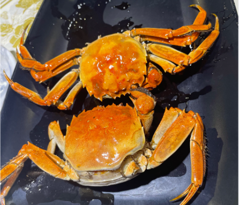 有些食物是相克的