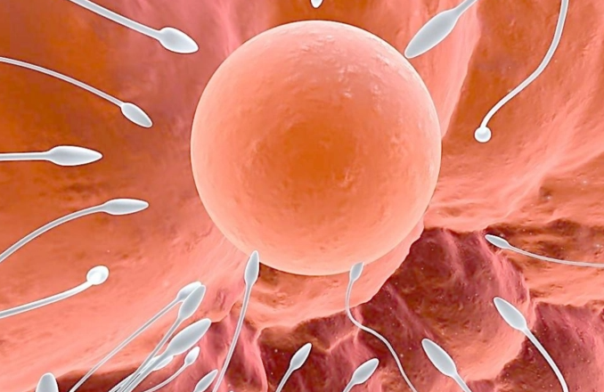 吉尔吉斯斯坦助孕合法吗？一探究竟