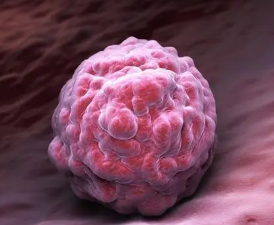 胚胎着床时间和个人体质有关