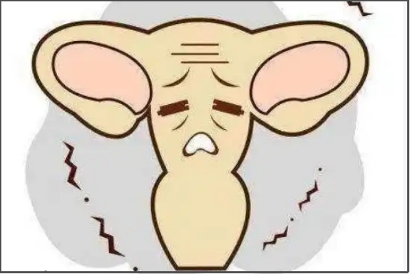 四十岁卵巢早衰可能会调整过来