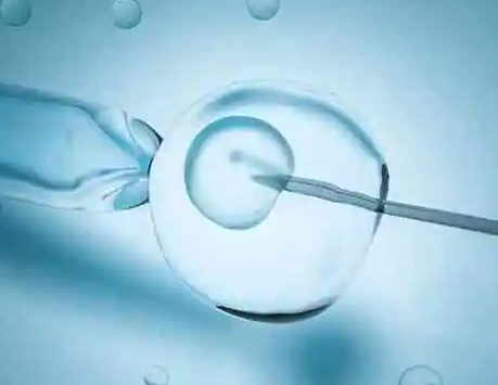 第二次移植冻胚的流程，巧囊二次移植依旧可能失败吗？