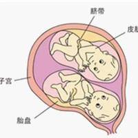 同卵双胞胎dna完全一样吗？一个生殖中心咨询师的实话