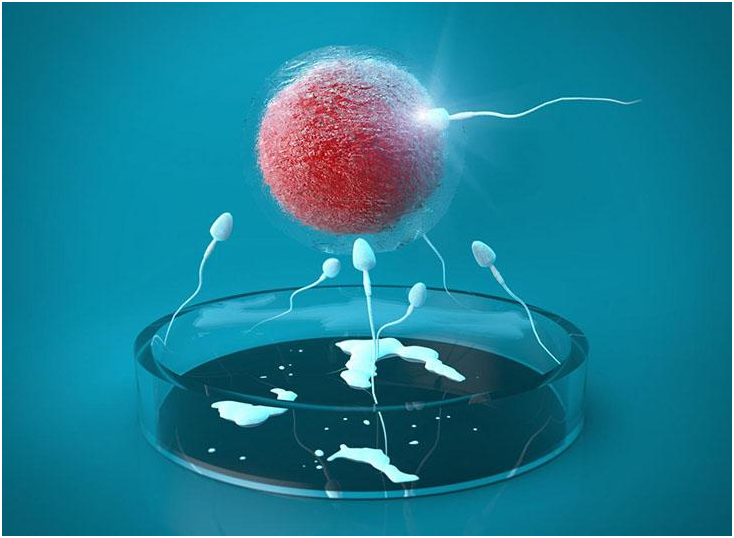 为什么做试管婴儿会有人老是胚胎移植失败？