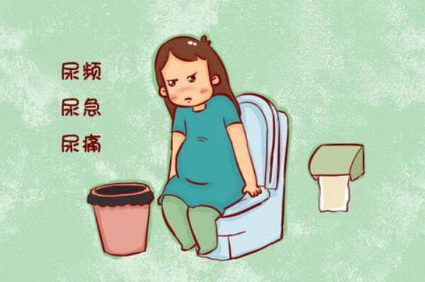 囊胚着床成功后会出现尿频