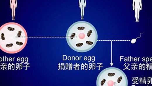 成都试管婴儿平台亲历：34岁两次卵母细胞采集，我把踩过的坑写给你