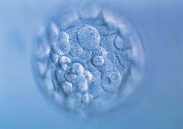 试管婴儿的胚胎质量好，做试管一定会成功吗？