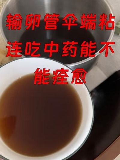 喝了助孕的中药反而不排卵了正常吗？2026年新颖解析
