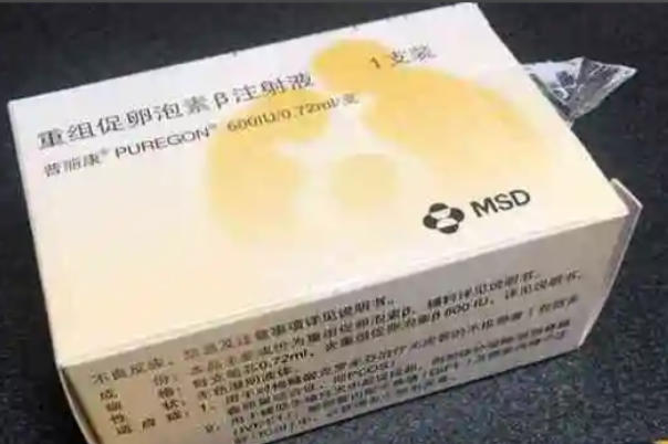 普丽康能促进多个卵泡共同发育