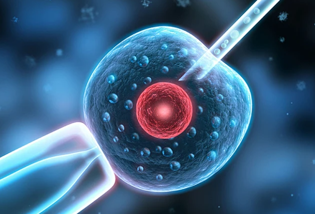 乳腺瘤三级需要治疗后备孕