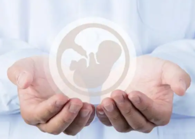 试管移植后，保胎期间需要注意什么问题呢?