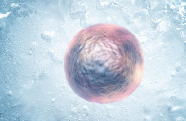 试管胚胎三种类型的成功率