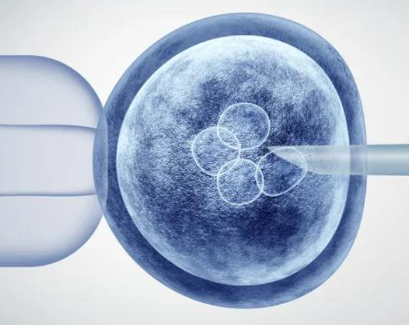 冻胚移植是常见移植方式