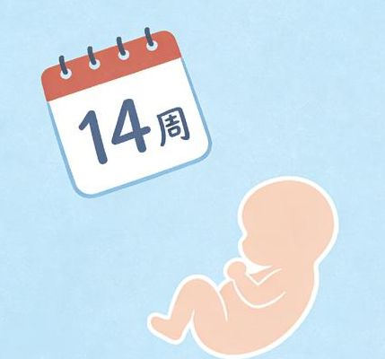 怀孕多久可以做亲子鉴定？孕周不对白花钱还可能伤到胎儿