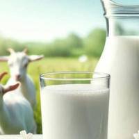 蓝河绵羊奶粉质量怎么样，科学解析与用户视角