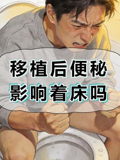 移植后总放屁是着床了嘛？别急着对号入座，可能是肠道在加戏