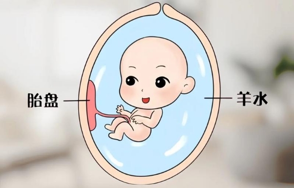 孕期羊水深度对照表