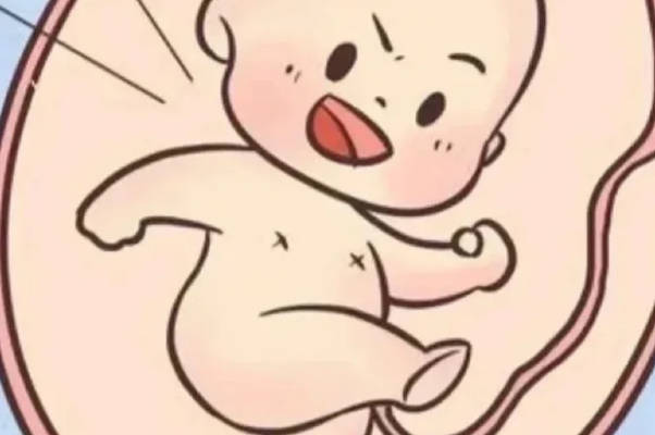孕妇怀男宝时最明显的胎动开始于第几个月？
