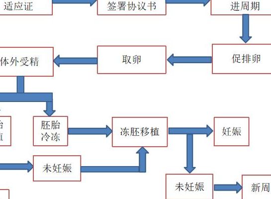 不用结婚证做试管婴儿的医院来了,2026年新颖解读