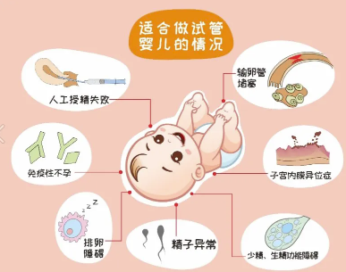 试管婴儿一个月感觉.png