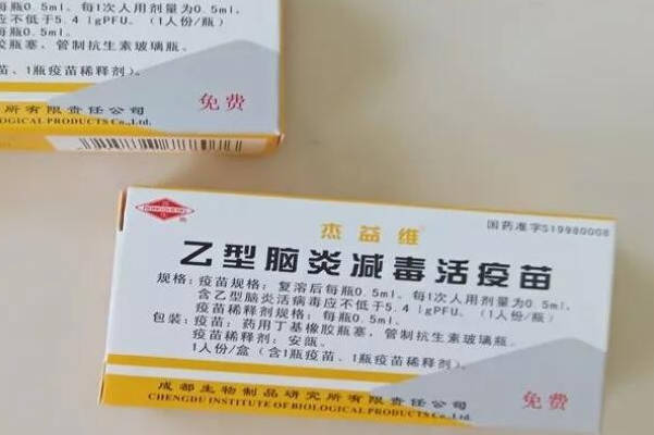 请问乙脑自费和免费的主要差异是什么？