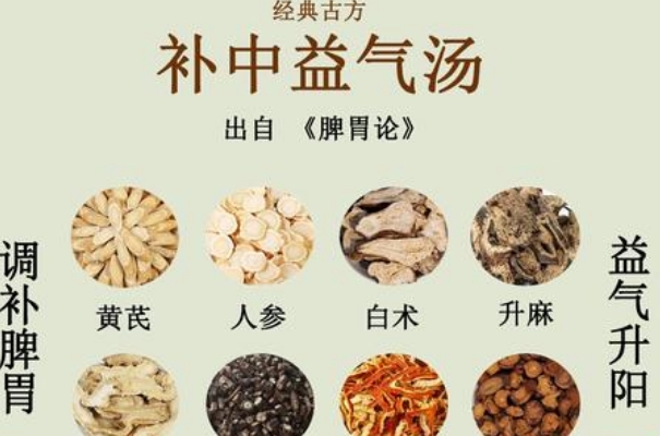 补中益气汤可以改善胃肠动力