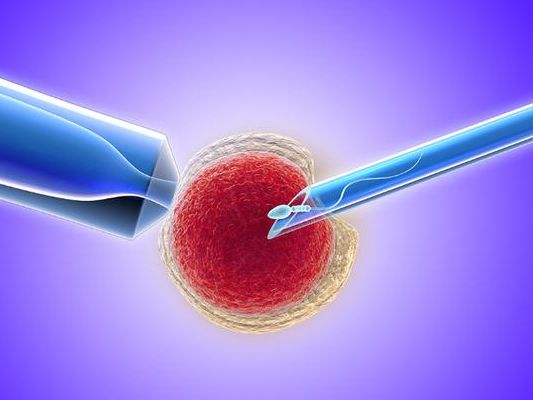 威海试管婴儿可以报销医保吗?2026新颖解读