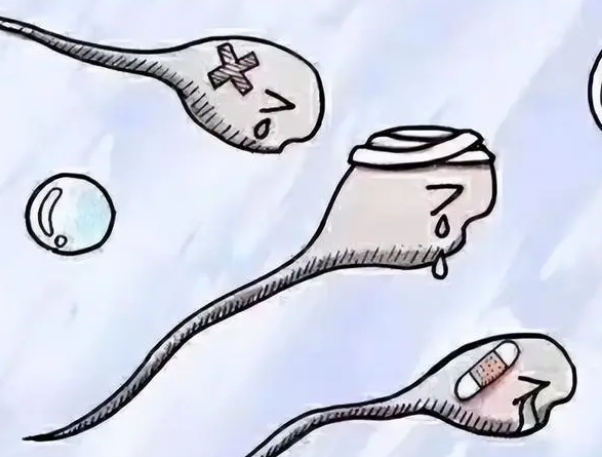 精子有问题可以海外试管