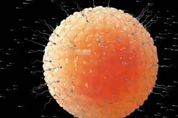 养囊6天还没结果不一定不好