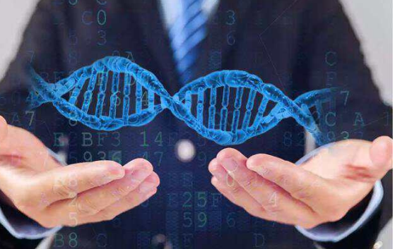无创DNA检查是产前检测方法