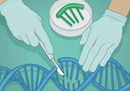 第三代试管可以避免哪些疾病遗传，家族遗传病可以避开吗