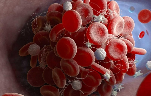 备孕期间血小板低？这些食物千万别碰！