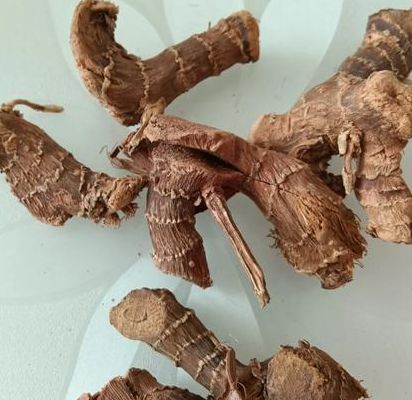 高良姜的功效与作用：胃寒十年，我靠它告别了止痛药