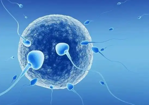 做试管cd38和cd138阳性哪个情况更严重呢?