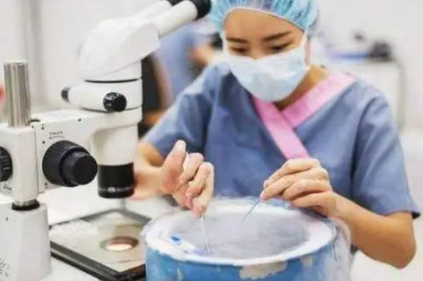 冻胚是冷冻保存的胚胎