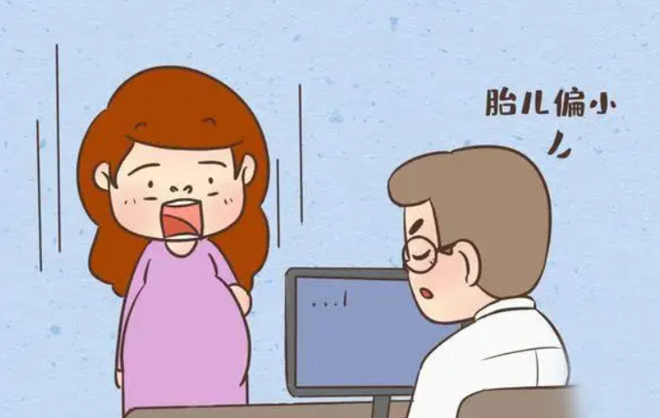 胎儿偏小怎么补充营养