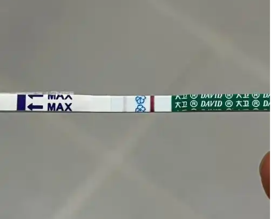 试纸不能验孕出双胞胎