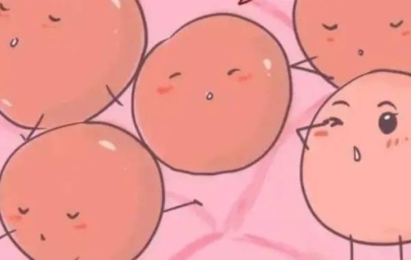 大龄女性发现左右卵巢一共13个卵泡不正常