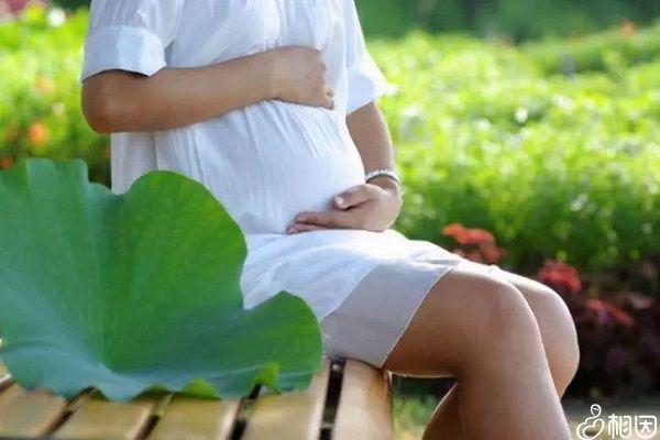 45岁试管婴儿成功案例背后，藏着我用4个判断维度筛出来的真相