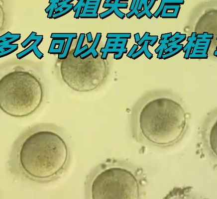 移植失败后胚胎去哪了？2025年两份判决给出答案