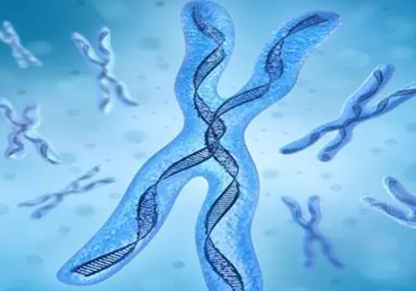 精子活力差可以做二代试管