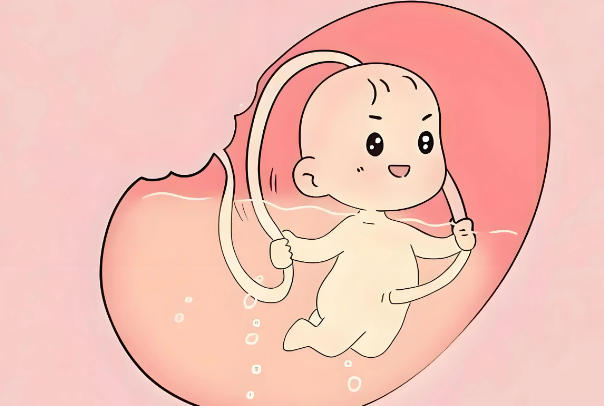 早产儿7活8不活现在不适用