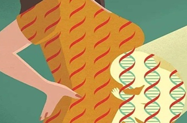 染色体倒位影响生育,能做试管婴儿解决吗？